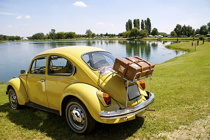 Käfer in gelb Restauration und Lack